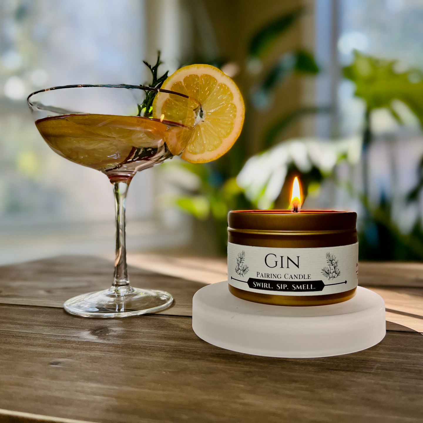 Gin Pairing with Martini Cocktail